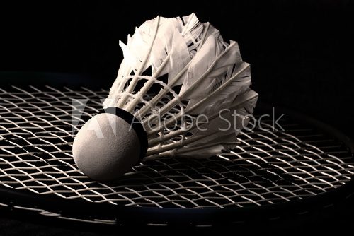 Fototapeta Wolant na badmintona
