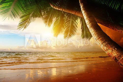 Fototapeta wschód słońca na karaibskiej plaży