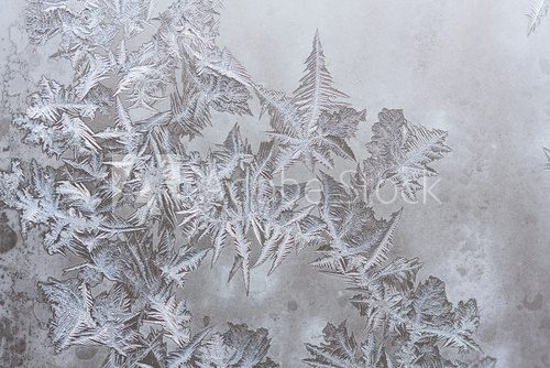 Fototapeta Wzory lodowe na szkle zimowym