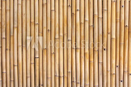 Fototapeta Z bambusów utkane...