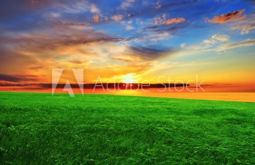 Fototapeta Zachód słońca nad zielonym polu