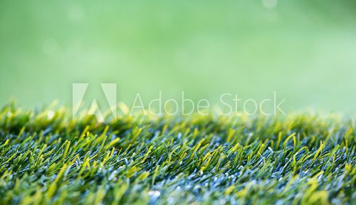 Fototapeta Zamyka w górę tła Zielona trawa