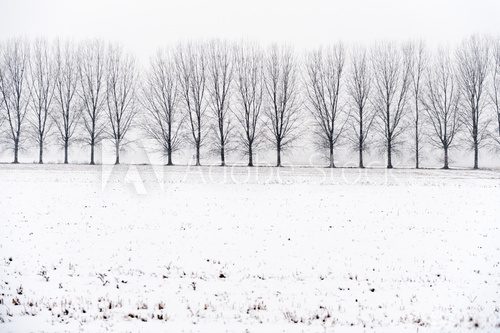 Fototapeta Zima śnieżna wieś