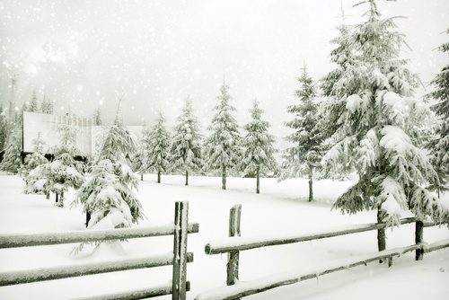 Fototapeta Zimowy krajobraz z górskiej chacie