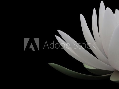 Obraz 3d lotos