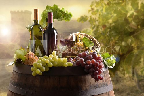 Obraz Butelki wina z beczki na winnicy