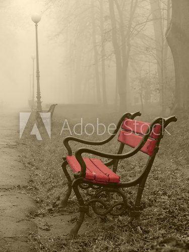 Obraz czerwona ławka we mgle