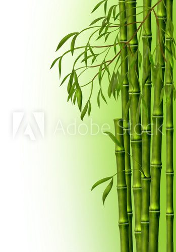 Obraz Harmonia zielonego bambusa