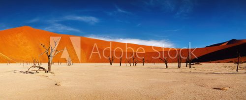 Obraz Pustynia Namib, Sossusvlei, Namibia