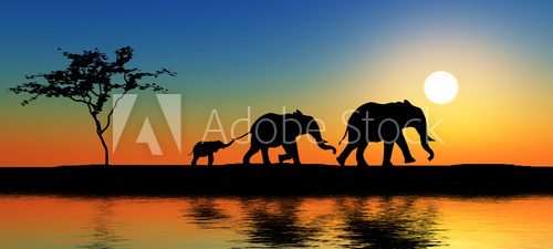 Obraz Wschód słońca na Safari