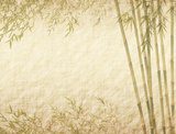 Fototapeta bambus na starej grunge tekstury papieru antyczne.