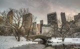 Fototapeta Central Park, Nowy Jork