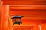 Fototapeta Fushimi Inari