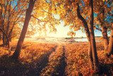 Fototapeta Jesień krajobraz