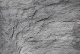 Fototapeta Kamień tekstury łupków