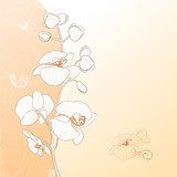Fototapeta Karta kwiatu orchidei