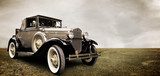 Fototapeta Klasyczna elegancja na tle bezkresnej łąki