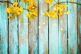 Fototapeta Kolor żółty kwitnie na rocznika drewnianym tle, rabatowy projekt. odcień rocznika - kwiat koncepcja tło wiosna lub lato