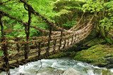 Fototapeta Lama Kazura-bashi i bambusowy most w Oku Iya, Shikoku