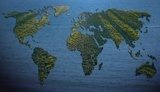 Fototapeta Mapa świata wypełniona trawą na tle wody