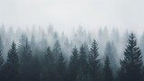 Fototapeta mglista, ciemna sylwetka lasu na tle mglistego, białego nieba, krajobraz atmosferyczny