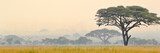 Fototapeta Piękna scena Parku Narodowego Serengeti