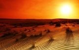 Fototapeta Pustynny piasek w blasku słońca