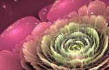 Fototapeta różowy i zielony fraktal kwiat