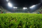 Fototapeta stadion, z bliska na trawie