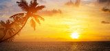 Fototapeta Sztuka Piękny wschód słońca nad tropikalną plażą