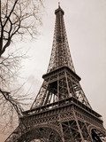 Fototapeta Tour Eiffel w Paryżu