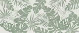 Fototapeta Tropikalne liście tło wektor. Naturalny wzór liści palmowych monstera z dżungli w minimalnym bladozielonym kolorze z konturowym stylem graficznym. Projekt tkaniny, nadruku, okładki, banera, dekoracji, tapety.