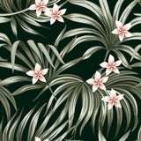 Fototapeta Tropikalny rocznika kwiat plumeria kwiatowy palma pozostawia bezszwowy wzór czarne tło. Egzotyczna tapeta z dżungli.