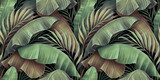 Fototapeta Tropikalny wzór z piękną palmą, liście bananowca. Ręcznie rysowane vintage ilustracji 3d. Efektowny egzotyczny projekt streszczenie tło. Dobre dla luksusowych tapet, tkanin, drukowania tkanin, towarów