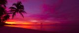 Fototapeta Tropikalny zachód słońca z panoramy sylwetka palmy