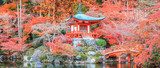 Fototapeta Urlop zmienia kolor czerwony w Świątyni w Japonii.