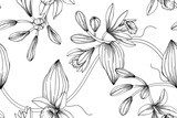 Fototapeta Waniliowa kwiatu i liścia rysunkowa ilustracja z kreskową sztuką na białych tło.