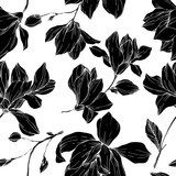 Fototapeta Wektor Magnolia kwiatowy kwiaty botaniczne. Czarno-biała grawerowana grafika tuszem. Bezszwowe tło wzór.
