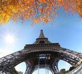 Fototapeta Wieża Eiffla z jesiennych liści w Paryżu, Francja
