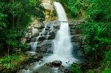 Fototapeta Wodospad w lesie na górze