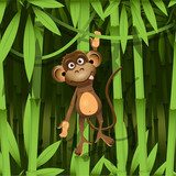 Fototapeta Zabawa w dżungli - wesoła małpka 
