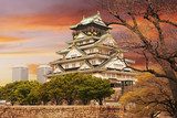 Fototapeta Zamek w Osace