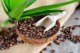 Fototapeta ziarna kawy w kokosie