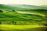 Fototapeta Zielone, toskańskie pola