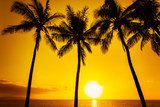Fototapeta Złoty tropikalny zachód słońca