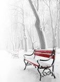 Obraz Czerwona ławka na puchowej śnieżnej kołdrze