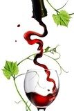 Obraz Dolewanie czerwone wino w szkle z prętem odizolowywającym na bielu