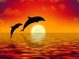 Obraz ilustracja dwóch delfinów pływanie w zachodzie słońca