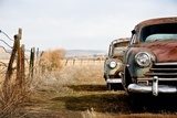 Obraz Miniona epoka - samochody w stylu retro