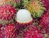 Obraz Owoce Rambutan